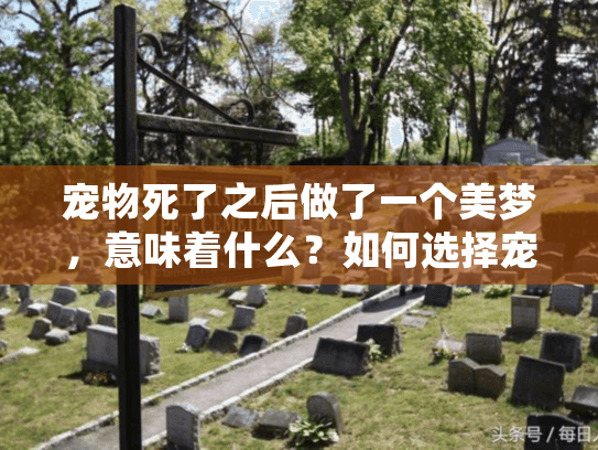 宠物死了之后做了一个美梦，意味着什么？如何选择宠物殡葬服务？
