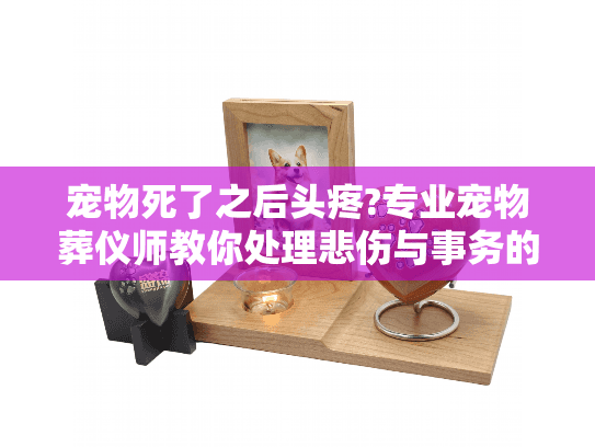 宠物死了之后头疼?专业宠物葬仪师教你处理悲伤与事务的困境