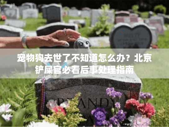 宠物狗去世了不知道怎么办?北京铲屎官必看后事处理指南 宠物狗去世了不知道怎么办?北京铲屎官必看后事处理指南