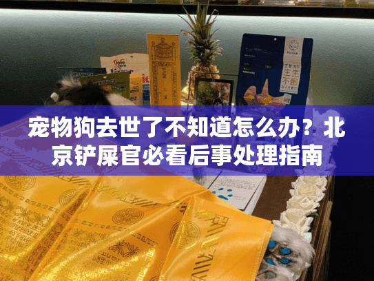宠物狗去世了不知道怎么办?北京铲屎官必看后事处理指南 宠物狗去世了不知道怎么办?北京铲屎官必看后事处理指南