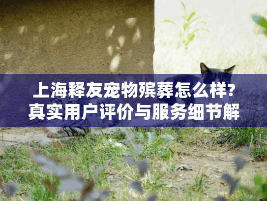 上海释友宠物殡葬怎么样?真实用户评价与服务细节解析