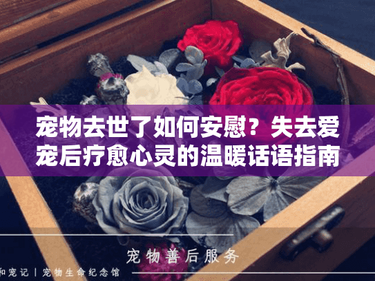 宠物去世了如何安慰？失去爱宠后疗愈心灵的温暖话语指南