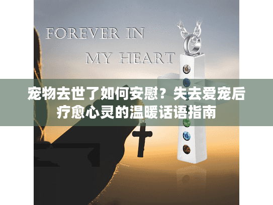 宠物去世了如何安慰？失去爱宠后疗愈心灵的温暖话语指南