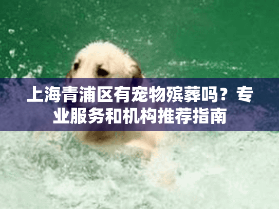 上海青浦区有宠物殡葬吗？专业服务和机构推荐指南