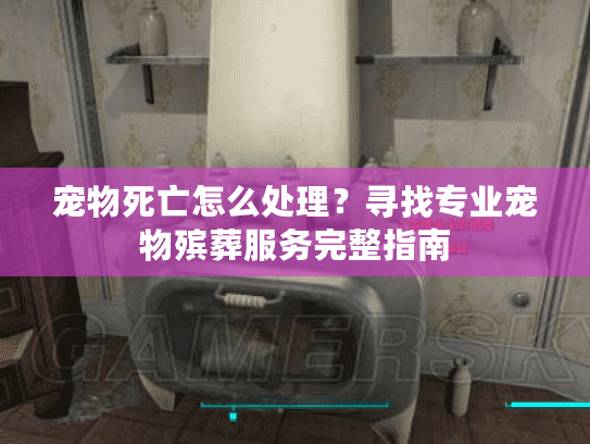 宠物死亡怎么处理？寻找专业宠物殡葬服务完整指南