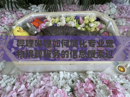 哔哩哔哩如何简化专业宠物殡葬服务的信息搜索过程？