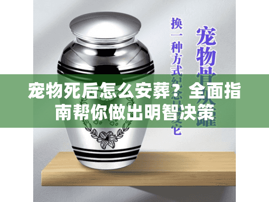 宠物死后怎么安葬？全面指南帮你做出明智决策