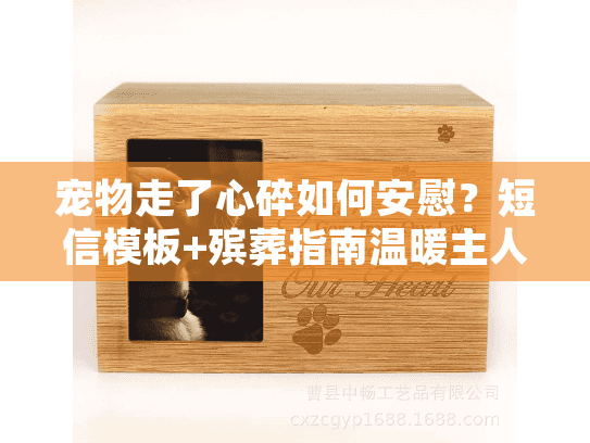 宠物走了心碎如何安慰？短信模板+殡葬指南温暖主人