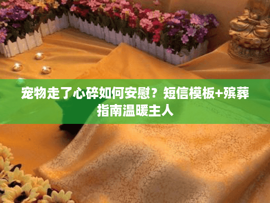 宠物走了心碎如何安慰？短信模板+殡葬指南温暖主人