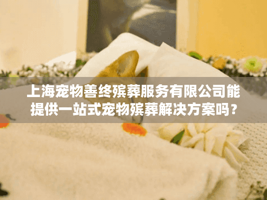上海宠物善终殡葬服务有限公司能提供一站式宠物殡葬解决方案吗？