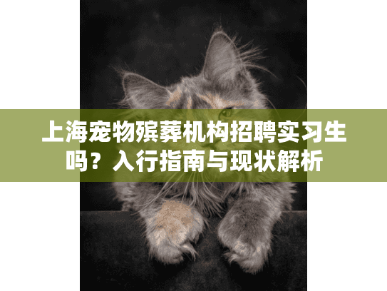 上海宠物殡葬机构招聘实习生吗？入行指南与现状解析