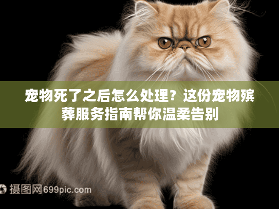 宠物死了之后怎么处理？这份宠物殡葬服务指南帮你温柔告别