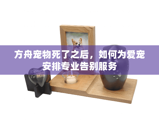 方舟宠物死了之后，如何为爱宠安排专业告别服务
