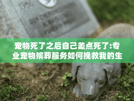 宠物死了之后自己差点死了:专业宠物殡葬服务如何挽救我的生命