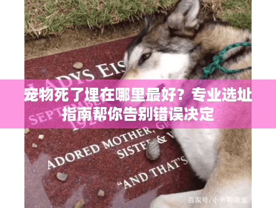 宠物死了埋在哪里最好？专业选址指南帮你告别错误决定