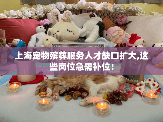 上海宠物殡葬服务人才缺口扩大,这些岗位急需补位！
