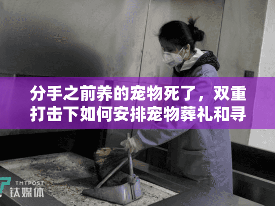 分手之前养的宠物死了，双重打击下如何安排宠物葬礼和寻求情感支持？