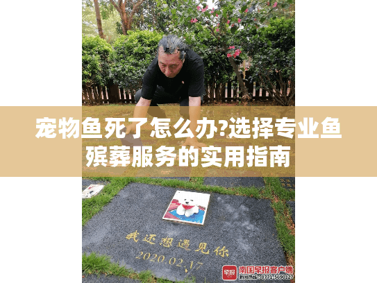 宠物鱼死了怎么办?选择专业鱼殡葬服务的实用指南