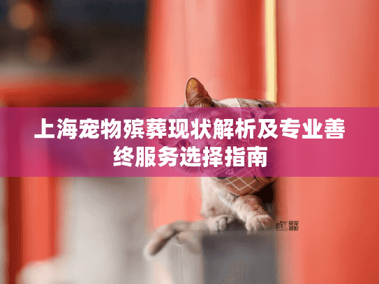 上海宠物殡葬现状解析及专业善终服务选择指南