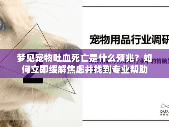 梦见宠物吐血死亡是什么预兆？如何立即缓解焦虑并找到专业帮助