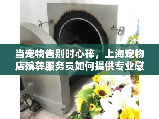 当宠物告别时心碎，上海宠物店殡葬服务员如何提供专业慰藉？
