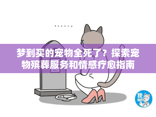 梦到买的宠物全死了？探索宠物殡葬服务和情感疗愈指南