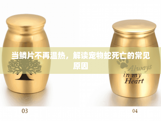 当鳞片不再温热，解读宠物蛇死亡的常见原因