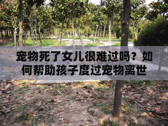 宠物死了女儿很难过吗？如何帮助孩子度过宠物离世之痛