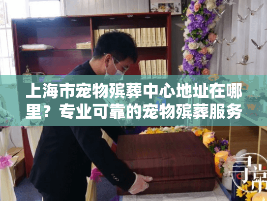上海市宠物殡葬中心地址在哪里？专业可靠的宠物殡葬服务指南