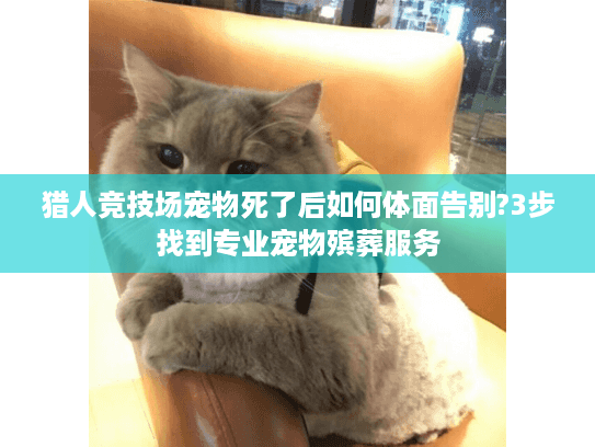 猎人竞技场宠物死了后如何体面告别?3步找到专业宠物殡葬服务