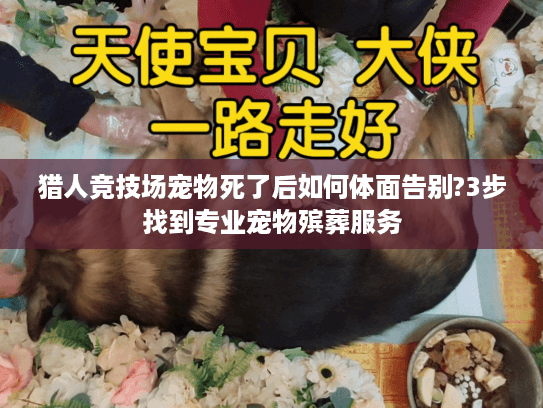 猎人竞技场宠物死了后如何体面告别?3步找到专业宠物殡葬服务