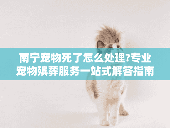 南宁宠物死了怎么处理?专业宠物殡葬服务一站式解答指南