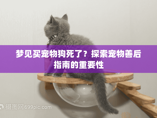 梦见买宠物狗死了？探索宠物善后指南的重要性