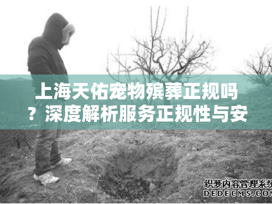 上海天佑宠物殡葬正规吗？深度解析服务正规性与安心选择之道