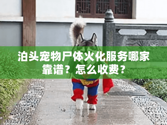 泊头宠物尸体火化服务哪家靠谱？怎么收费？