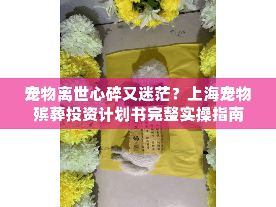 宠物离世心碎又迷茫？上海宠物殡葬投资计划书完整实操指南