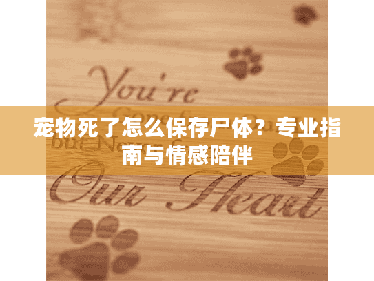 宠物死了怎么保存尸体？专业指南与情感陪伴