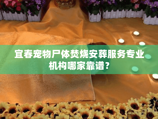 宜春宠物尸体焚烧安葬服务专业机构哪家靠谱？