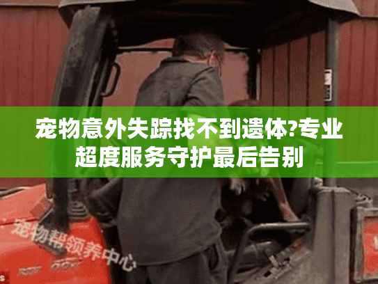 宠物意外失踪找不到遗体?专业超度服务守护最后告别