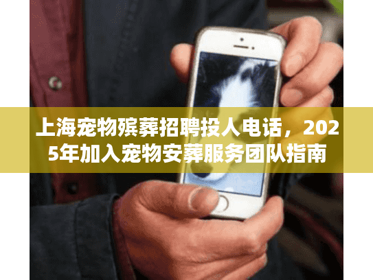 上海宠物殡葬招聘投人电话，2025年加入宠物安葬服务团队指南