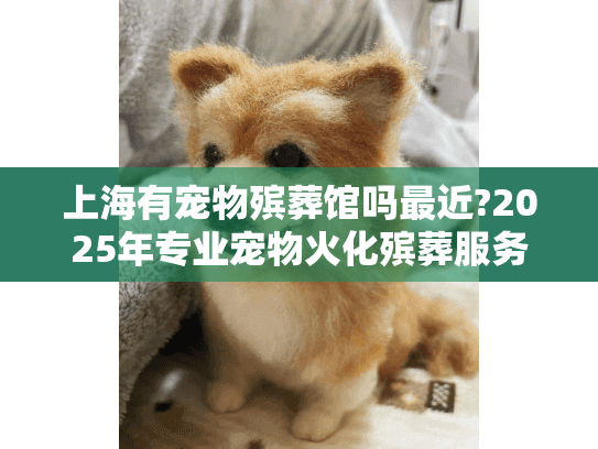 上海有宠物殡葬馆吗最近?2025年专业宠物火化殡葬服务指南