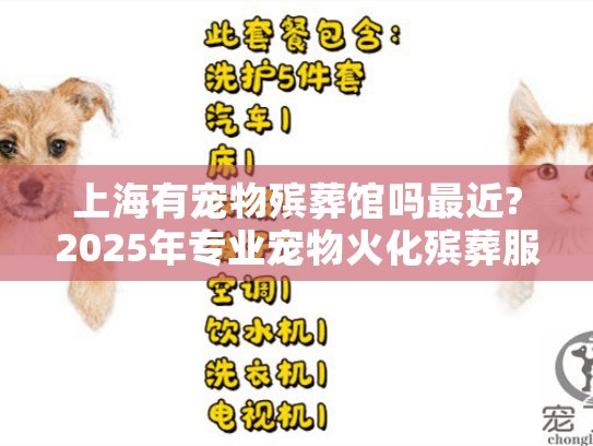 上海有宠物殡葬馆吗最近?2025年专业宠物火化殡葬服务指南