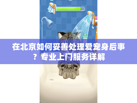 在北京如何妥善处理爱宠身后事？专业上门服务详解