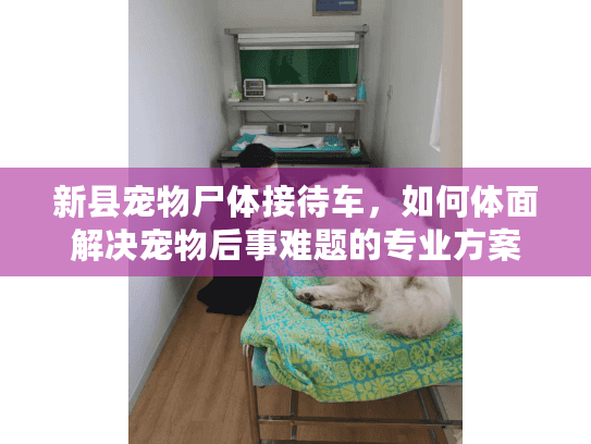 新县宠物尸体接待车，如何体面解决宠物后事难题的专业方案