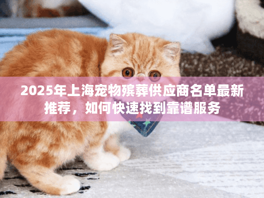 2025年上海宠物殡葬供应商名单最新推荐，如何快速找到靠谱服务