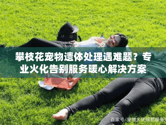 攀枝花宠物遗体处理遇难题？专业火化告别服务暖心解决方案