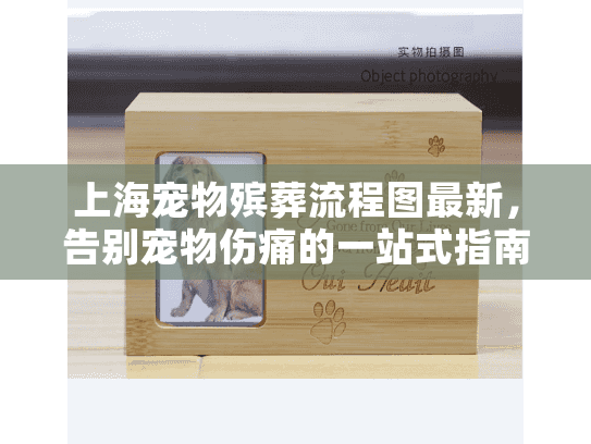 上海宠物殡葬流程图最新，告别宠物伤痛的一站式指南