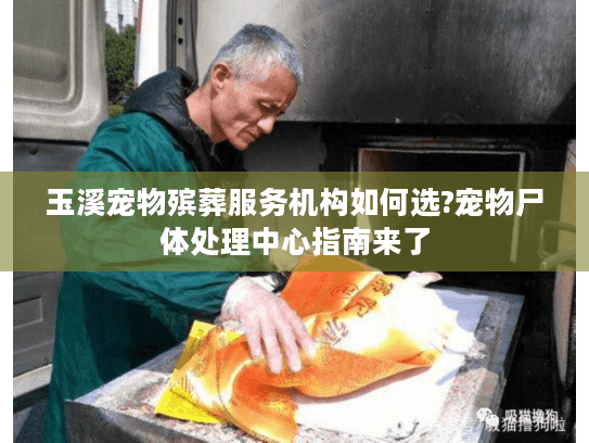 玉溪宠物殡葬服务机构如何选?宠物尸体处理中心指南来了 玉溪宠物殡葬服务机构如何选?宠物尸体处理中心指南来了