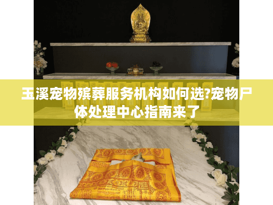 玉溪宠物殡葬服务机构如何选?宠物尸体处理中心指南来了 玉溪宠物殡葬服务机构如何选?宠物尸体处理中心指南来了