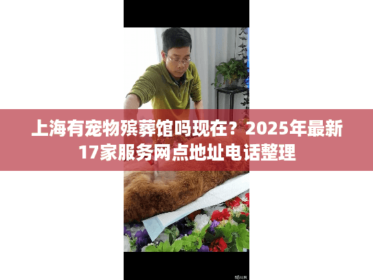 上海有宠物殡葬馆吗现在？2025年最新17家服务网点地址电话整理